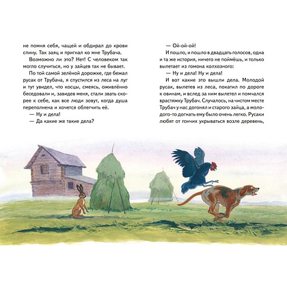Книга "Книги для внеклассного чтения. Рассказы о природе (ил. С. Ярового)", Михаил Пришвин - 5