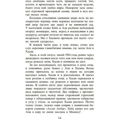 Книга "Бегущий за ветром", Халед Хоссейни - 7