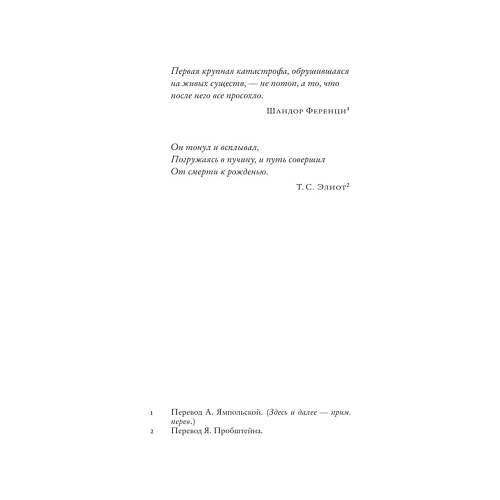 Книга "Последнее лето в городе", Джанфранко Каллигарич - 3