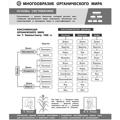 Книга "Биология в инфографике", Оксана Мазур - 4