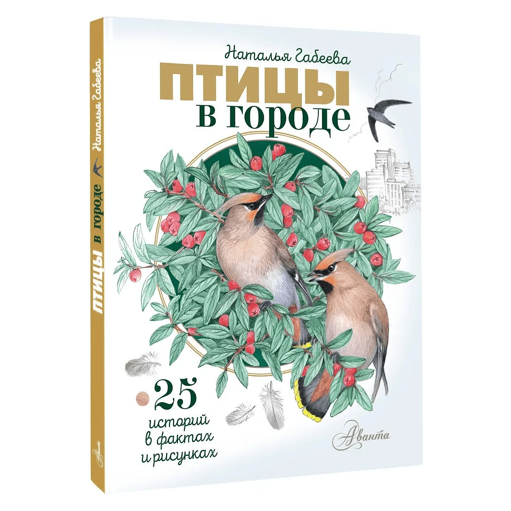 Книга "Птицы в городе. 25 историй в фактах и рисунках", Наталья Габеева
