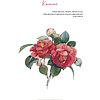 Книга  "Рисуем персонажей маньхуа акварелью", Richu de Xiaotaiyang - 3