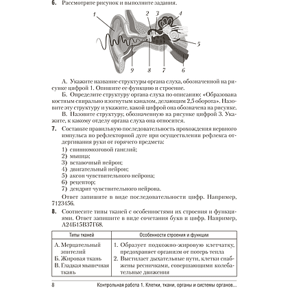 Биология. 9 класс. Сборник контрольных и самостоятельных работ, Пархомчук Т. В., Городович Н. И. - 7