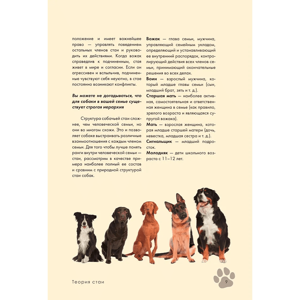 Книга "Дрессировка и воспитание собаки", Андрей Шкляев - 11