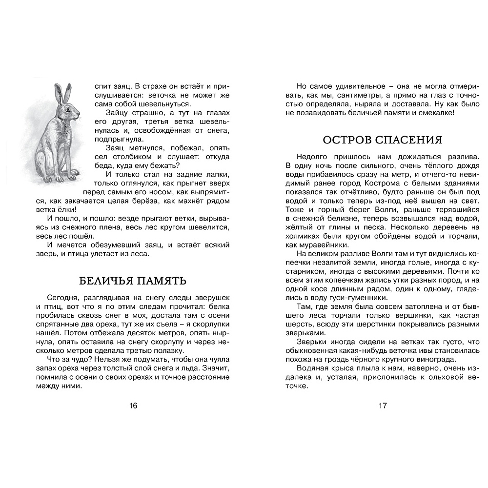 Книга "ЧЛУ. Лисичкин хлеб", Михаил Пришвин - 5