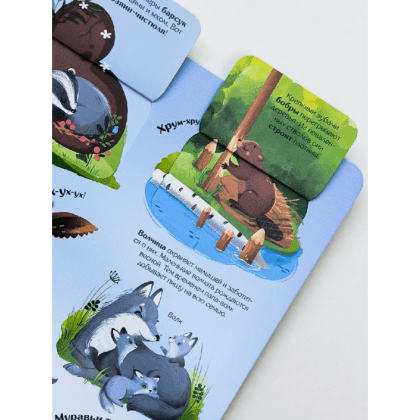 Книга "Книжка с окошками. Мир животных" - 7