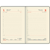 Ежедневник датированный "Profile" 2025, А5, 336 страниц, мятный - 5
