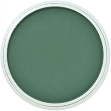 Ультрамягкая пастель "PanPastel", 640.1 зеленый перманентный темный