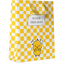 Пакет бумажный подарочный "Утки/Панды", 18х22.7х10 см, ассорти