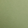 Бумага цветная "Maya", 50x70 см, 270 г/м2, хаки - 2