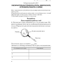 Биология. 6 класс. Тетрадь для лабораторных и практических работ, Лисов Н.Д., Борщевская Е.В.