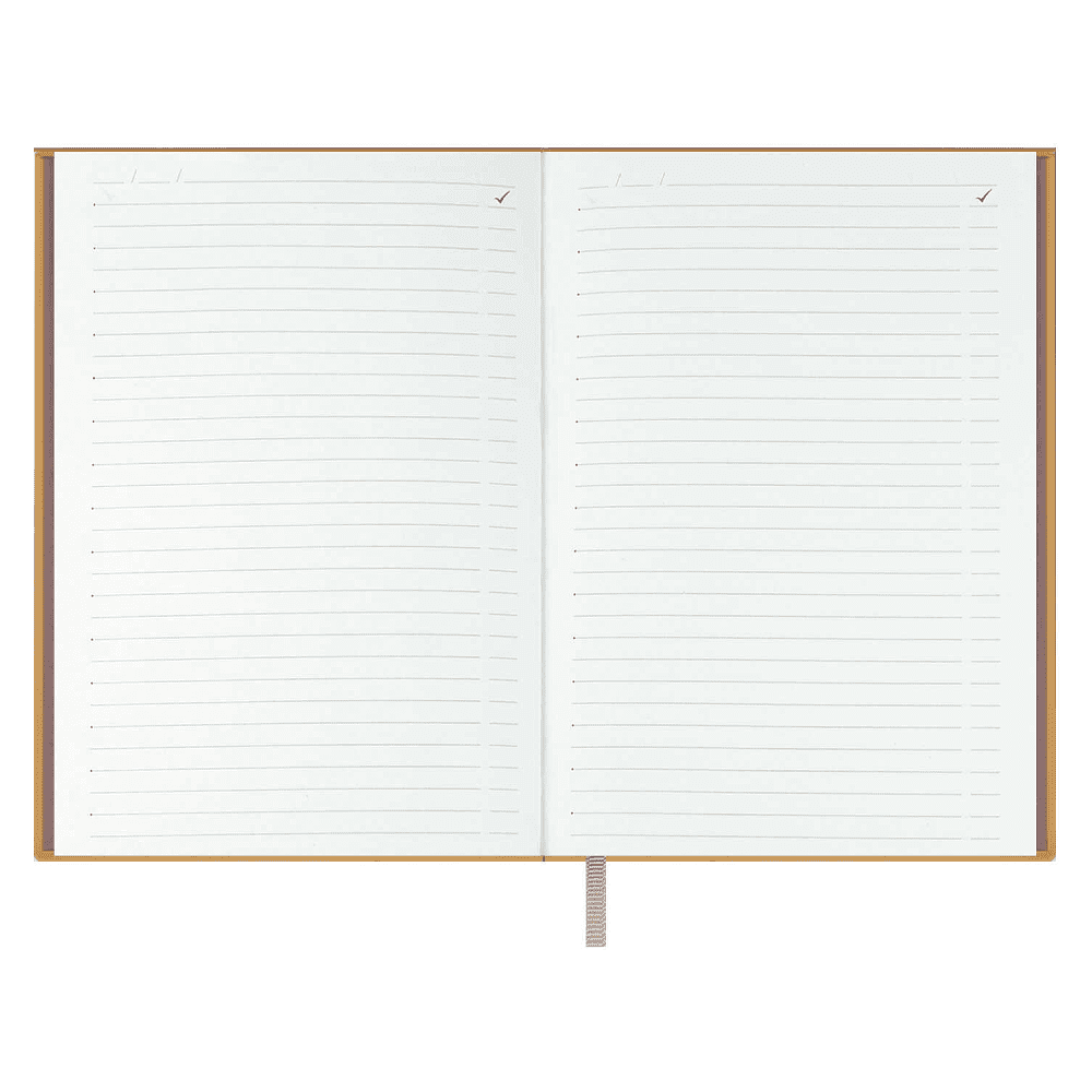 Ежедневник недатированный "Аспид Глосс", А6+, 320 страниц, линейка, пепельно-розовый - 3