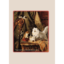 Книга "Котики и кошки. Избранная лирика с иллюстрациями"