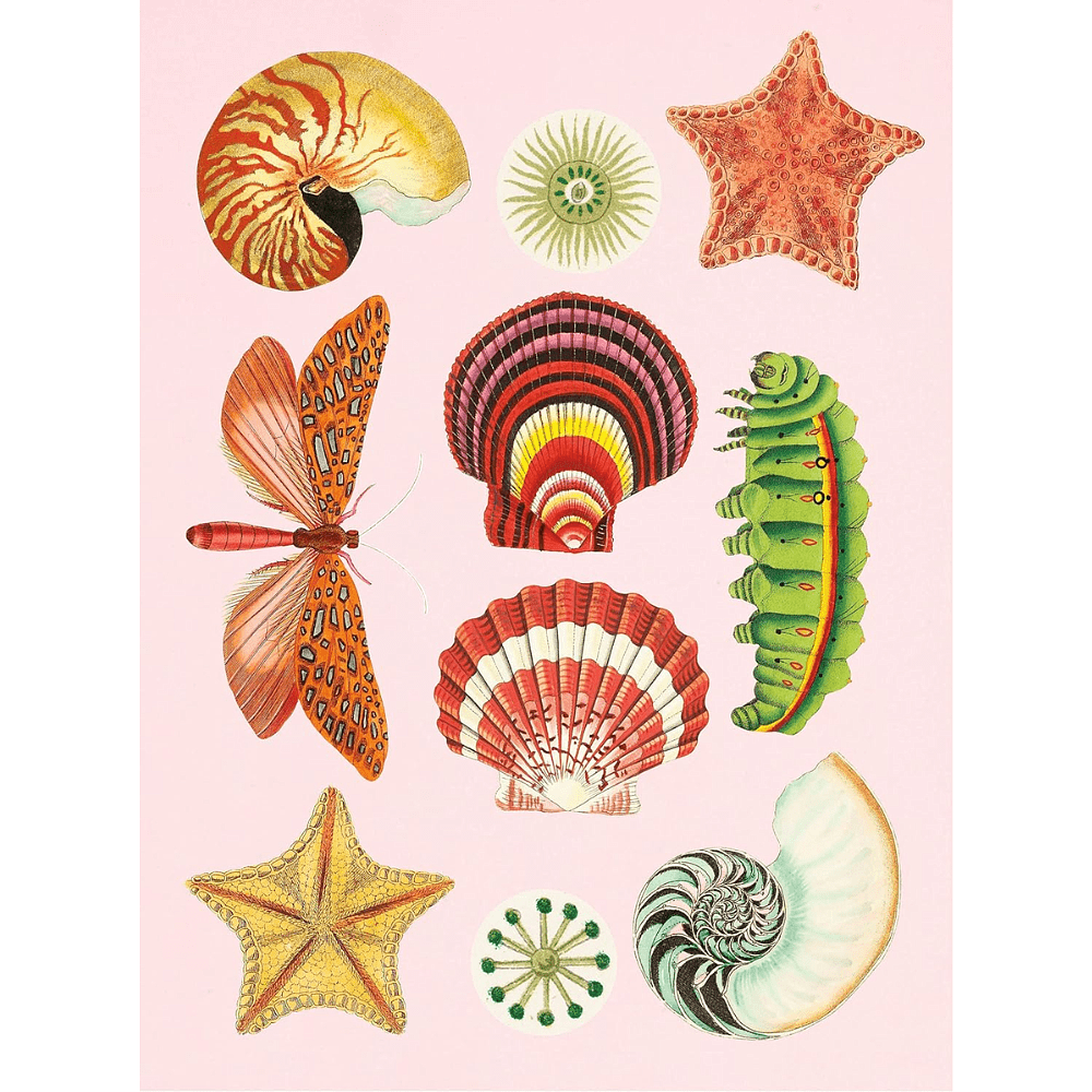 Книга на английском языке "The Antiquarian Sticker Book: An Illustrated Compendium of Adhesive Ephemera", Odd Dot - 7