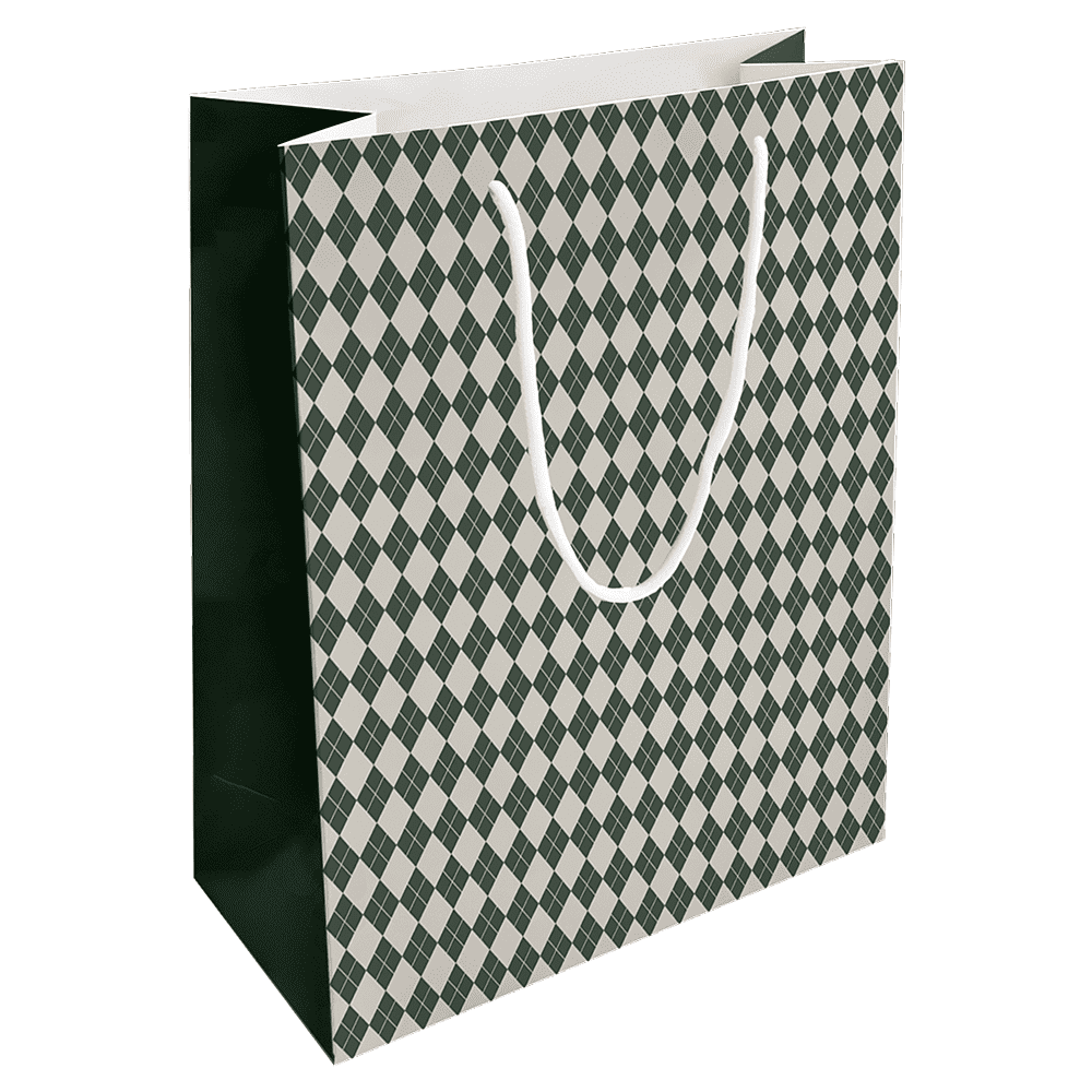 Пакет бумажный подарочный "Cage", 25х32х12 см, зеленый
