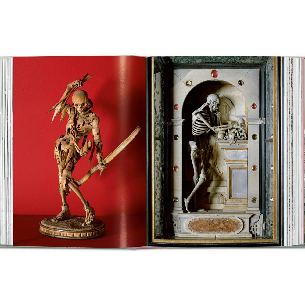 Книга на английском языке "Massimo Listri. Cabinet of Curiosities", Antonio Paolucci, Giulia ML Carciotto - 3