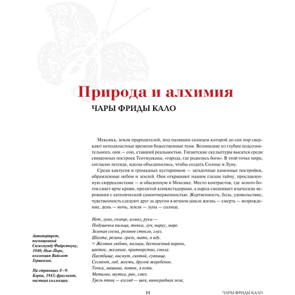 Книга "Истории Фриды. Жизнь и приключения Фриды Кало, бунтарки и изгоя", Альба Романо Паче - 10