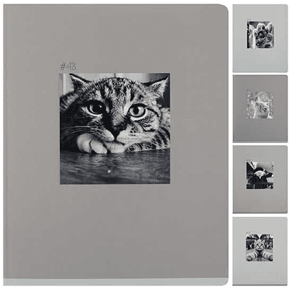 Тетрадь "Cat ART", А5, 48 листов, клетка, ассорти