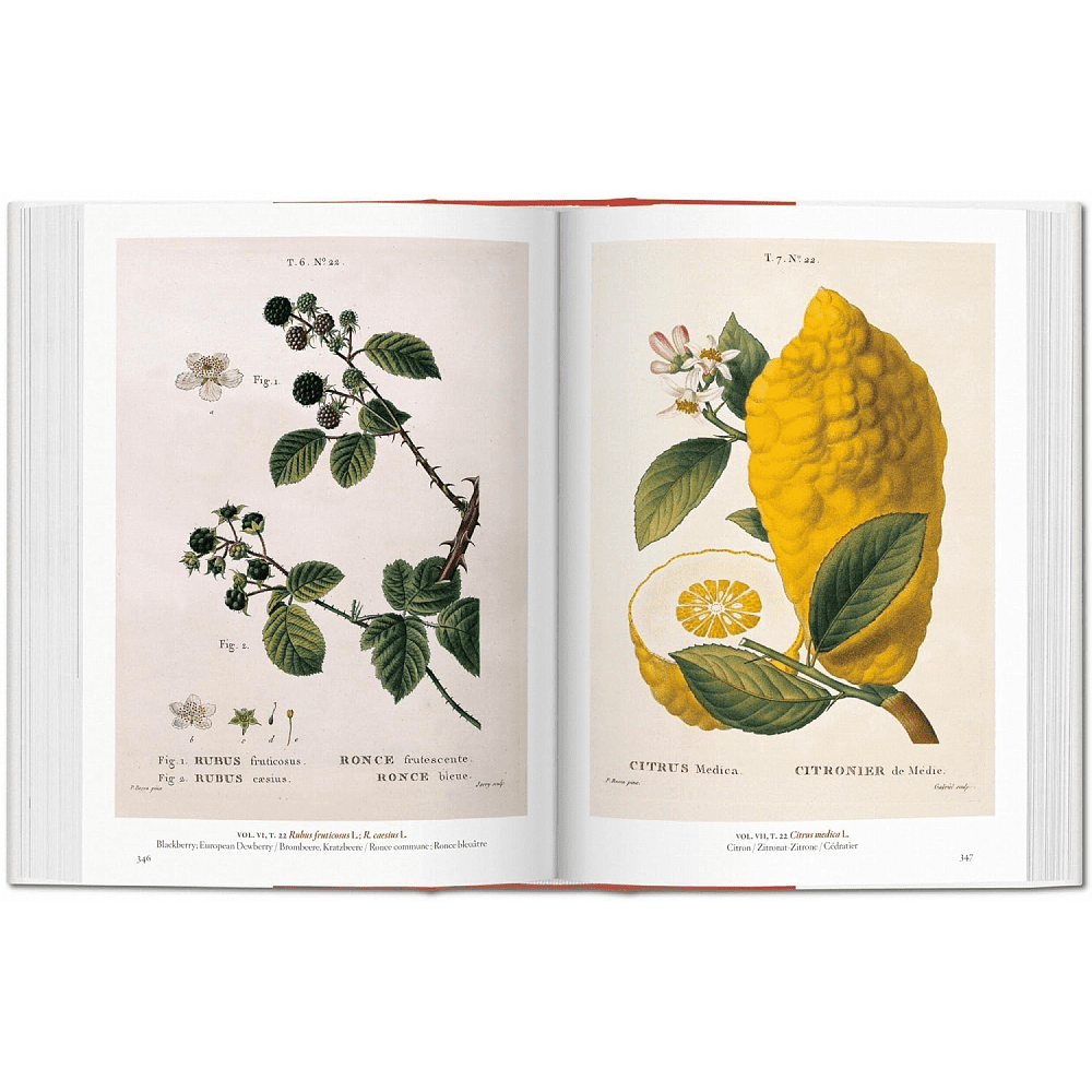 Книга на английском языке "A Garden Eden. Masterpieces of Botanical Illustration", Lack H. W. - 4