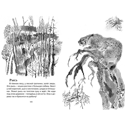 Книга "ЧЛУ. Друзья. Рассказы", Евгений Чарушин - 2