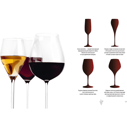 Книга "Маленькая книга гурмана. Вино", Якопо Коссатер, Фабио Петрони - 5