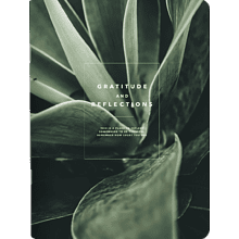 Тетрадь "Botanica сансевиерия", А5, 48 листов, клетка, разноцветный