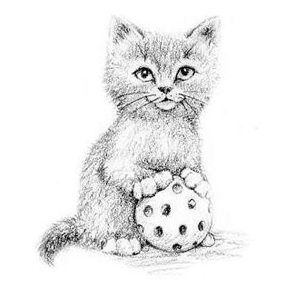 Книга на английском языке "Котёнок Одуванчик, или Игра в прятки = Smudge the Stolen Kitten", Вебб Х - 5