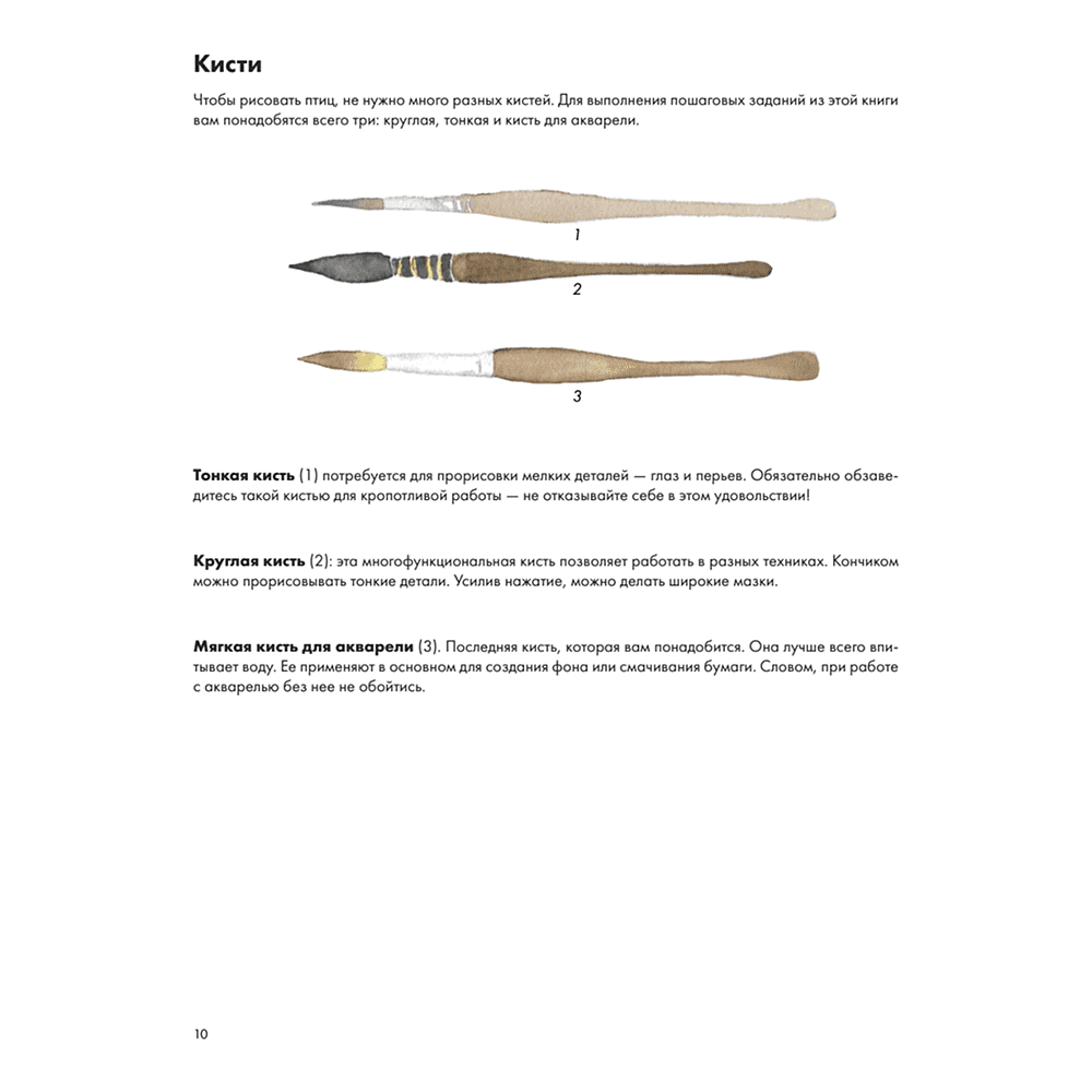 Книга "Рисуем акварелью: птицы леса и сада", Жюли Майе-Девим - 6