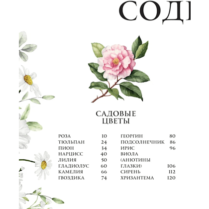 Книга "Цветы в искусстве. Воспевание красоты" - 3 Книга "Цветы в искусстве. Воспевание красоты" - 3