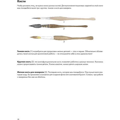 Книга "Рисуем акварелью: птицы леса и сада", Жюли Майе-Девим - 6