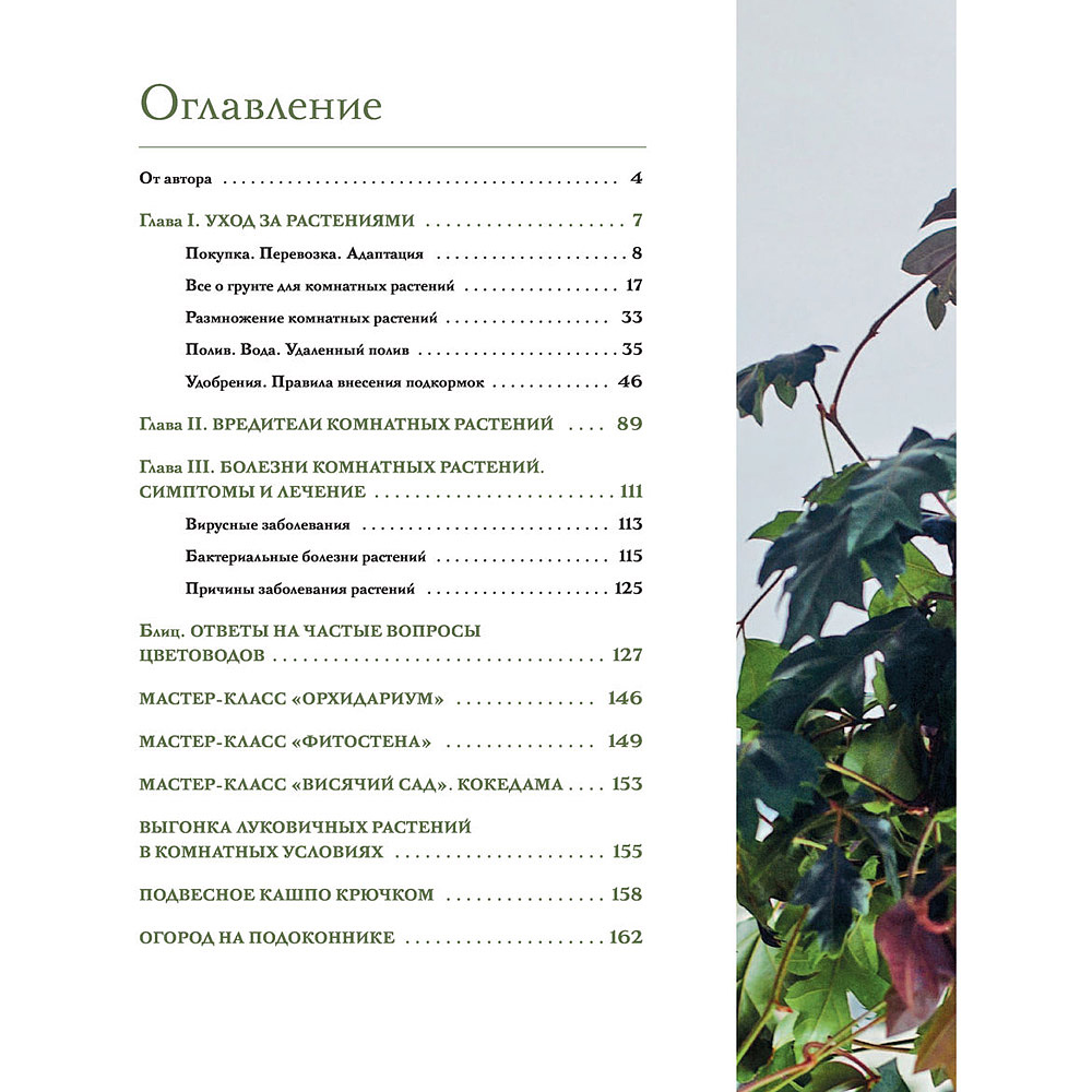 Книга "Цветок в горшке. Как посадить комнатные растения и не сесть в лужу", Ксения Занина - 2