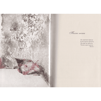 Книга "Аметисты. Избранные стихотворения", Иннокентий Анненский - 2