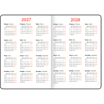 Ежедневник датированный "Control" на 2027 год, А5, 352 страницы, черный  - 6