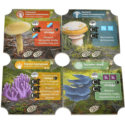 Игра настольная "Грибы и корни: Шёпот леса" - 6