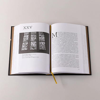 Книга "Палаццо Мадамы. Воображаемый музей Ирины Антоновой", Лев Данилкин - 7