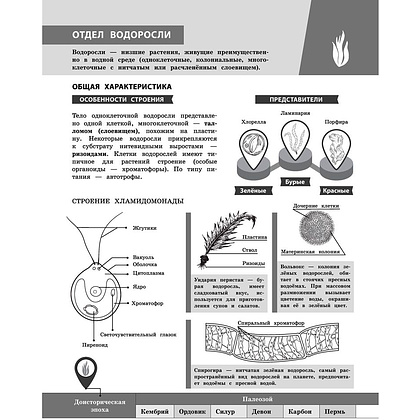 Книга "Биология в инфографике", Оксана Мазур - 11