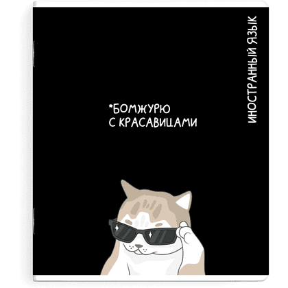 Тетрадь предметная "Бомжурю с красавицами. Иностранный язык", А5, 48 листов, клетка, черный