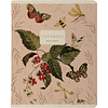 Тетрадь "Fauna. Butterfly", A5, 48 листов, клетка, ассорти - 5