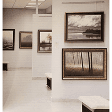 Альбом "Картинная галерея Валерия Шкарубо"