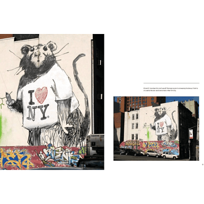 Книга на английском языке "Banksy", Alessandra Mattanza - 4