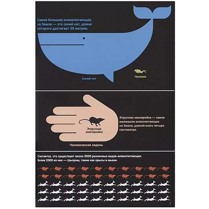 Книга "В мире животных: инфографика", Харриет Брандл - 7
