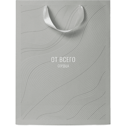 Пакет бумажный подарочный "Country", 31х41х10 см, ассорти