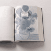 Книга "Спасая Винсента", Джоан Фернандес - 6