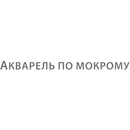 Книга "Мастерская художника. Акварельная техника по-мокрому", Наталья Перевалова - 2