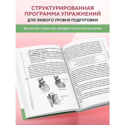 Книга "Лимфатический самомассаж. Практики, которые избавят вас от отечности, чувства тяжести и нормализуют пищеварение", Ольга Шишова - 7