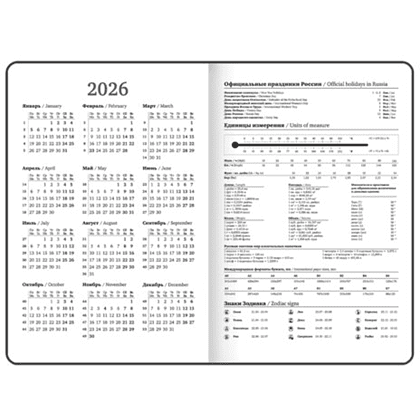 Ежедневник датированный "Гранаты" на 2026 год, А5, 320 страниц, на резинке, черный, розовый - 6