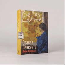 Книга "Спасая Винсента", Джоан Фернандес