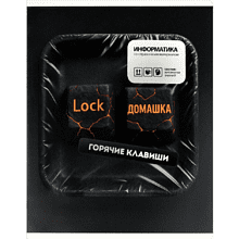 Тетрадь предметная "Горячие клавиши. Информатика", А5, 48 листов, клетка, черный