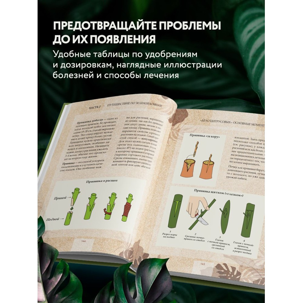 Книга "Зеленая комната. Как стать повелителем домашних джунглей", Илья Зеленов - 7