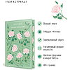 Книга "Магистраль. Колл. Письмо незнакомки", Стефан Цвейг - 4
